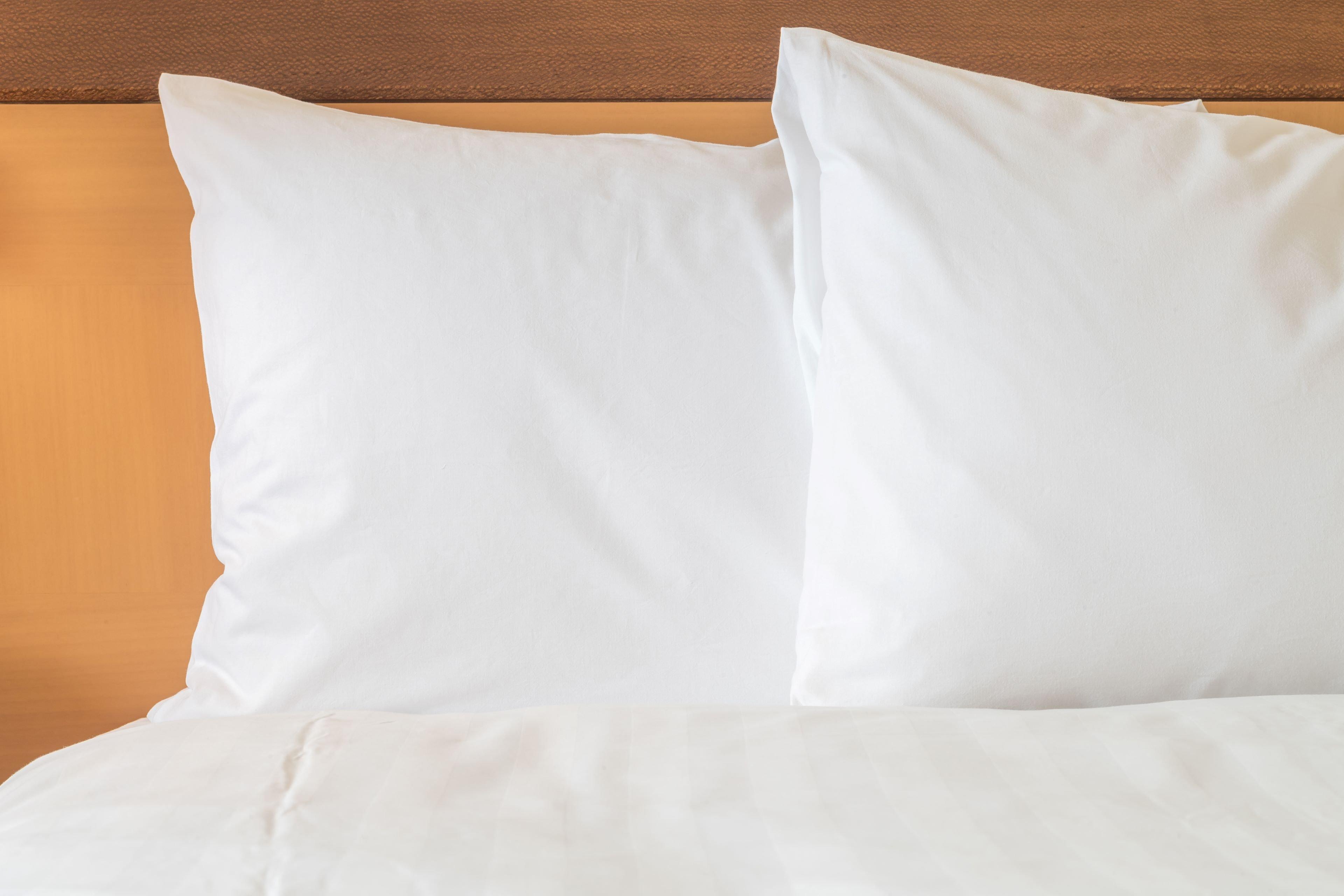 Holiday Inn Express & Suites Houston S - Medical Ctr Area By Ihg Luaran gambar